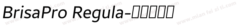 BrisaPro Regula字体转换